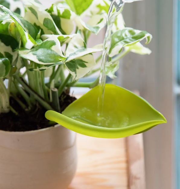 Нашла и обалдела - 15 Крутых новинок Wildberries, которые я не куплю | Круто, но чересчур дорого