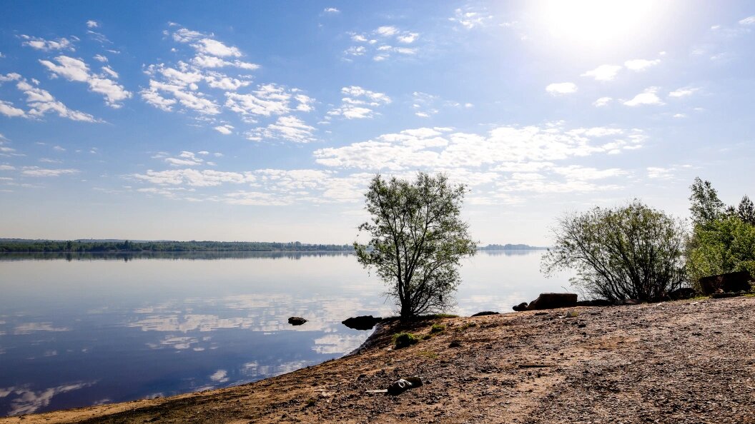    ФОТО: Elena Mayorova/Globallookpress/Globallookpress