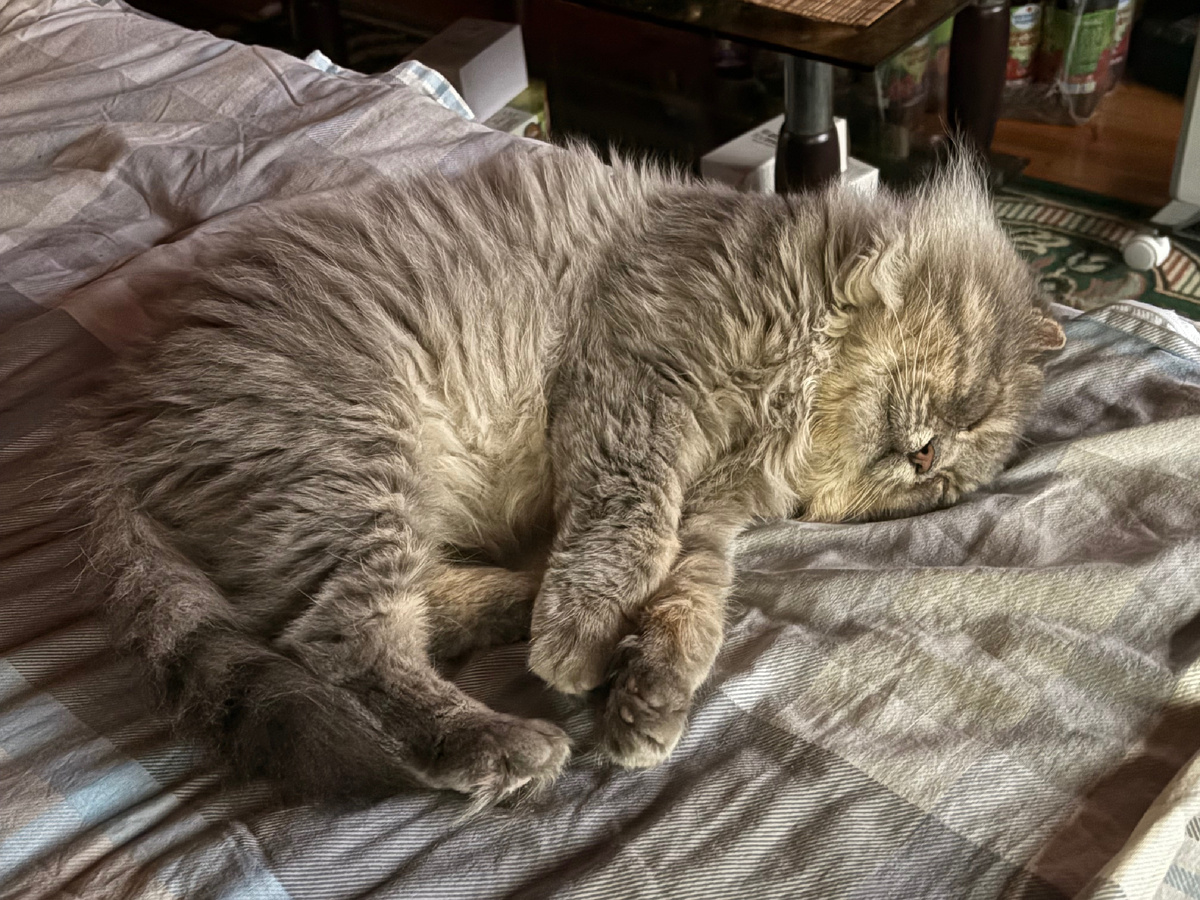 А на первом этаже спать тоже неплохо.