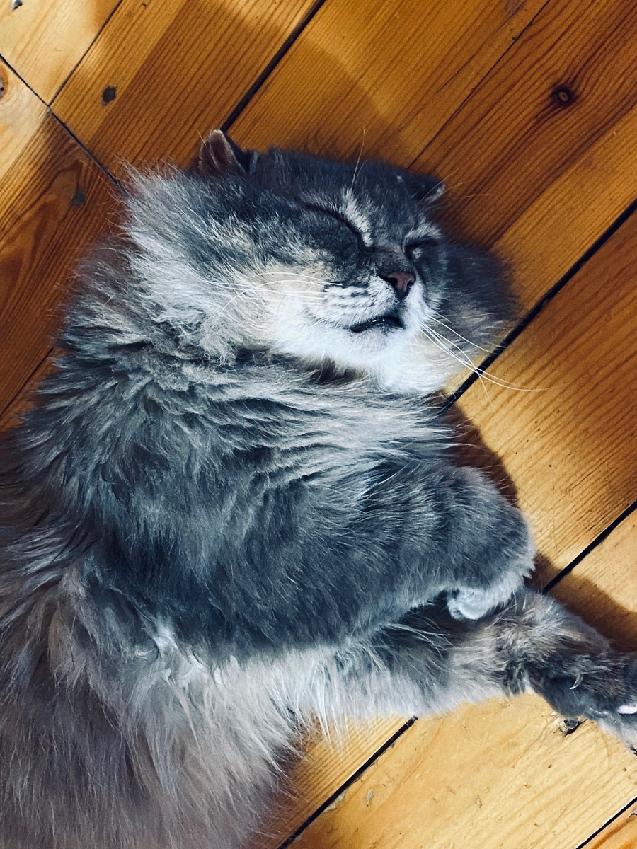 Надо срочно охладиться на первом этаже! Везде фото автора.