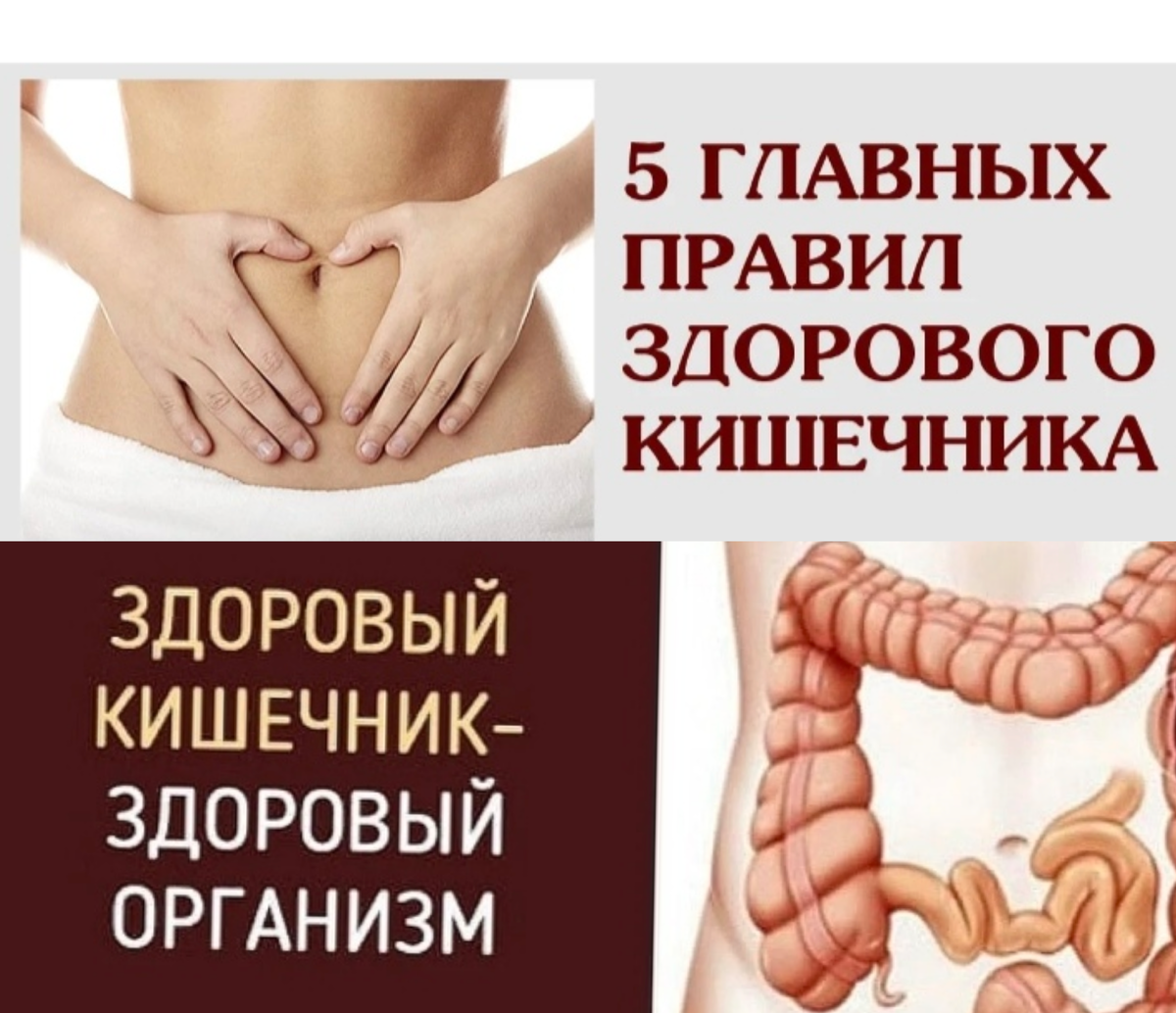 - Психология: Доказано, что состояние кишечника влияет на настроение и уровень стресса.