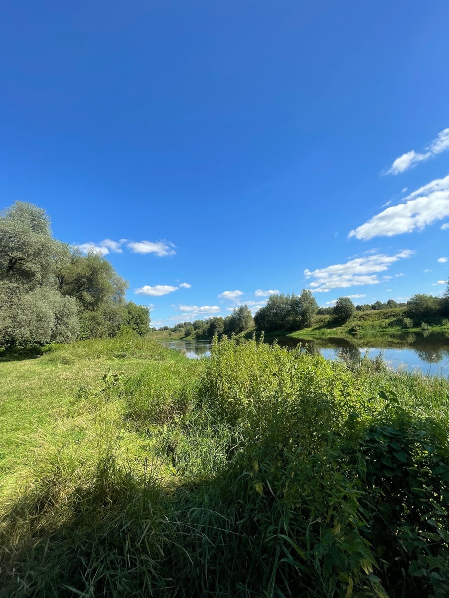 Место, в котором был отпущен прах Арины по реке