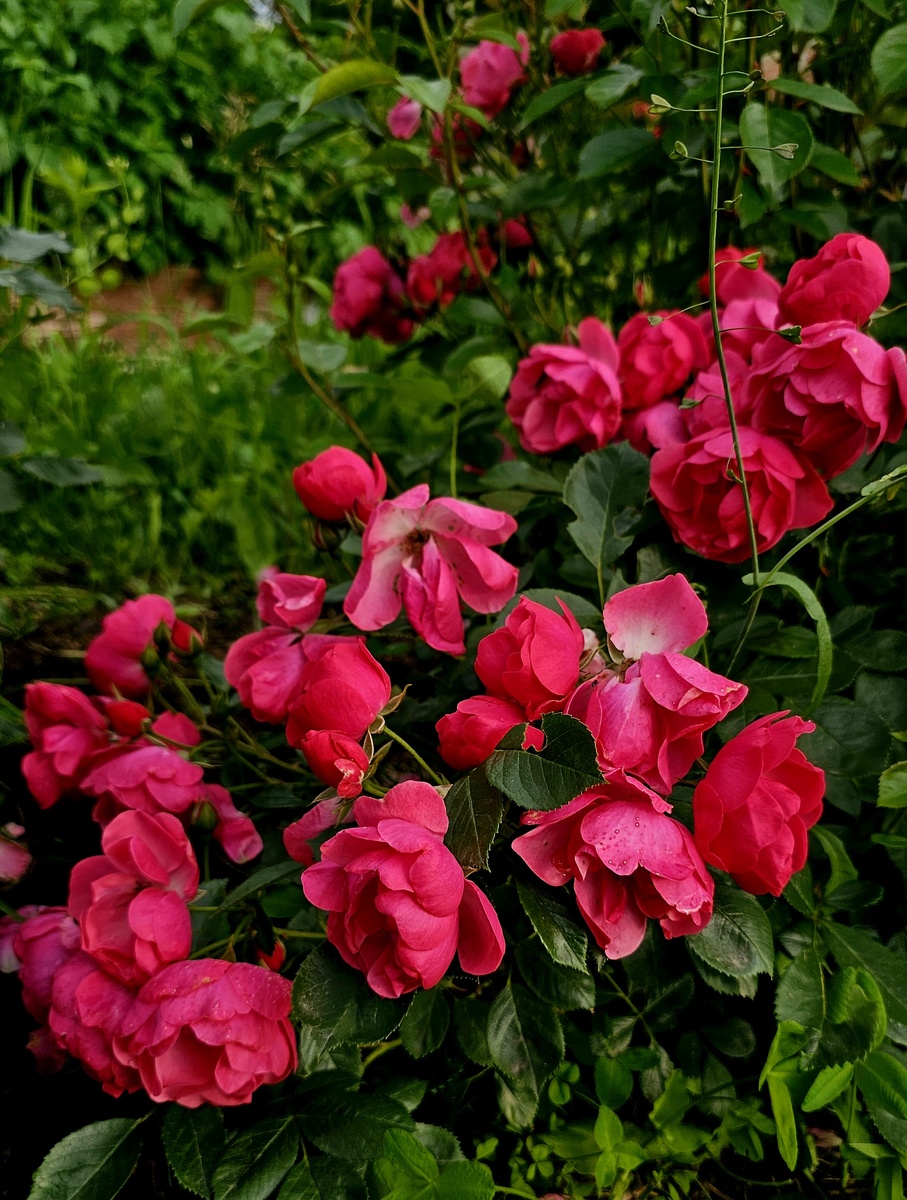 В дождливые дни