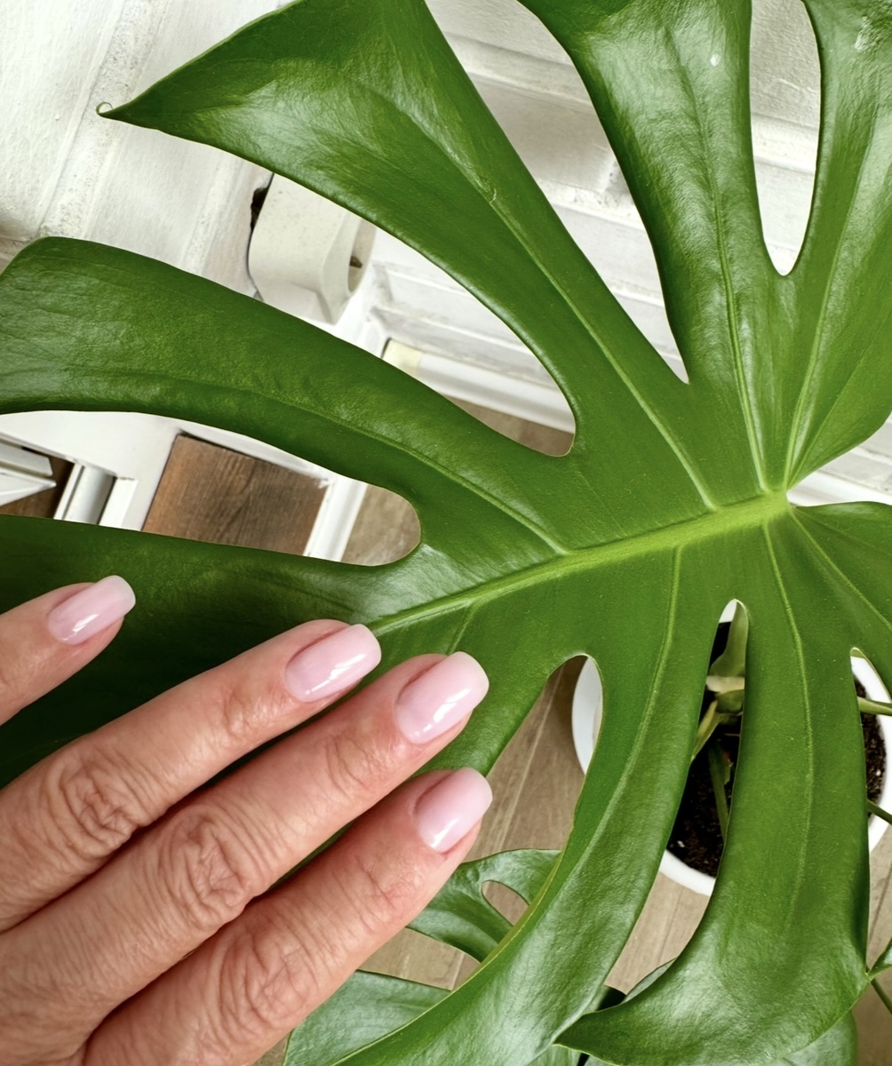 Фото автора .