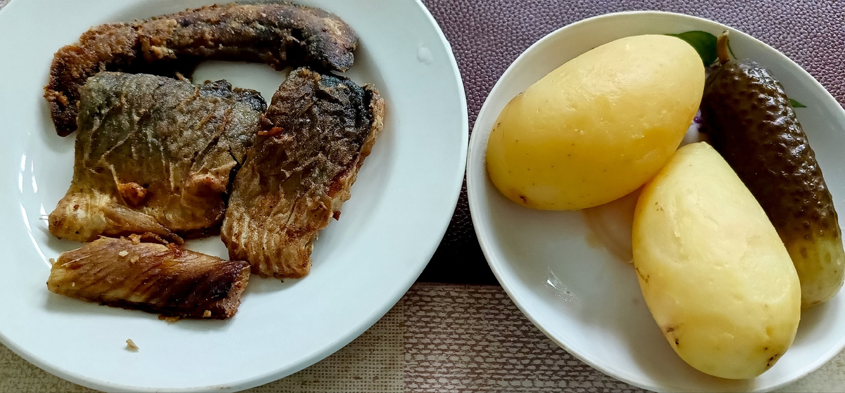 Самый лучший обед. 