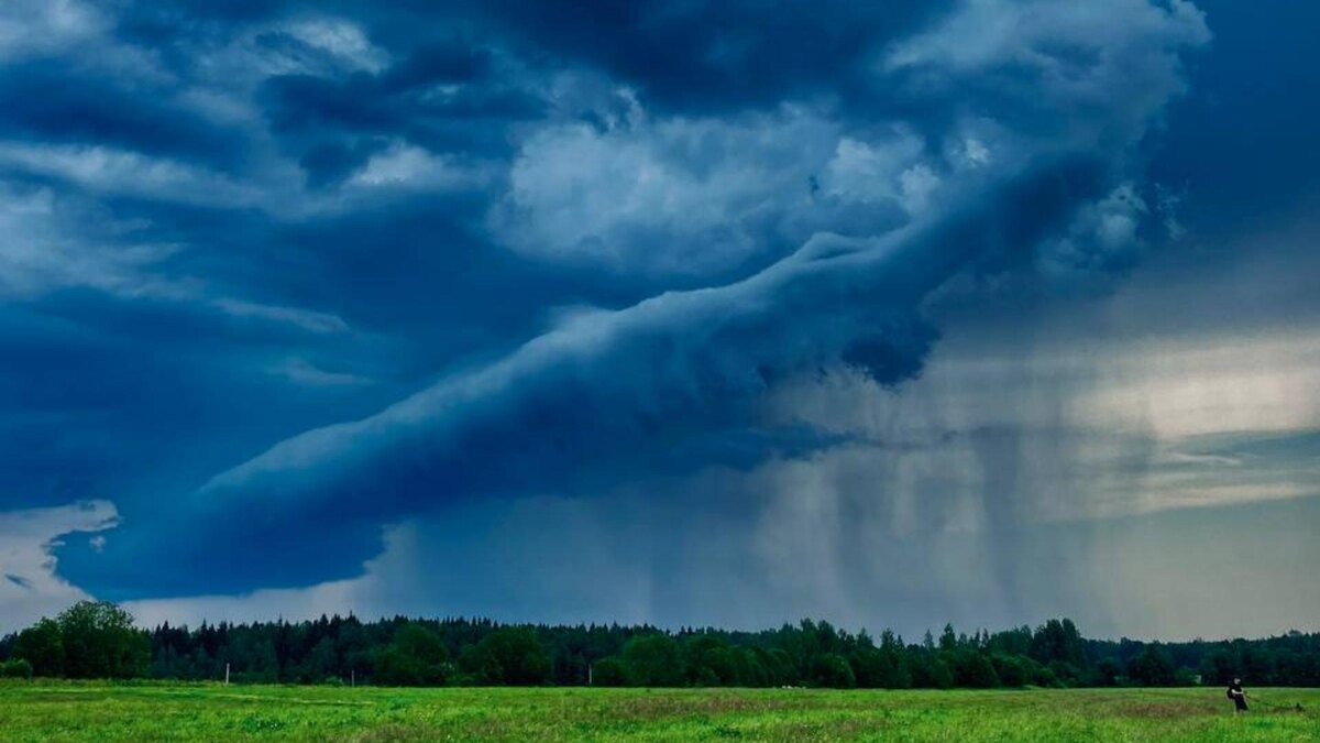    Фото: соцсети