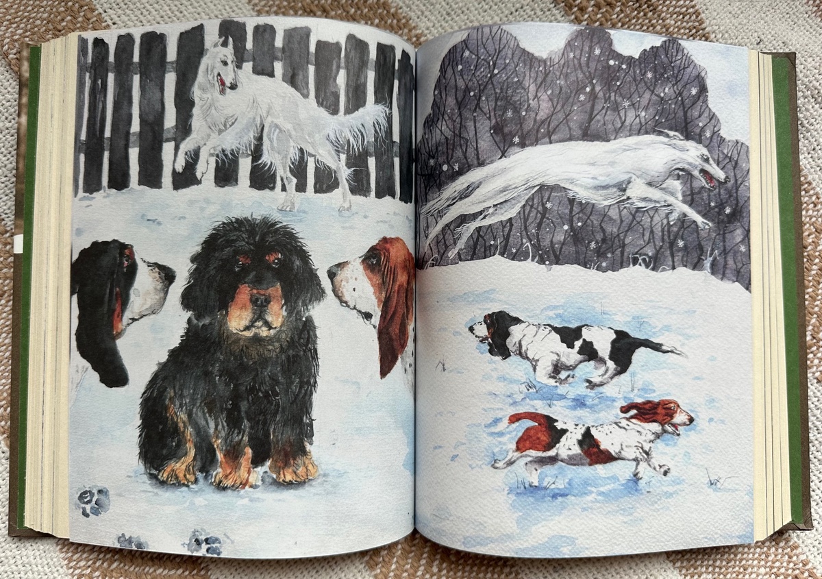 Иллюстрации - Вадим Солодкий