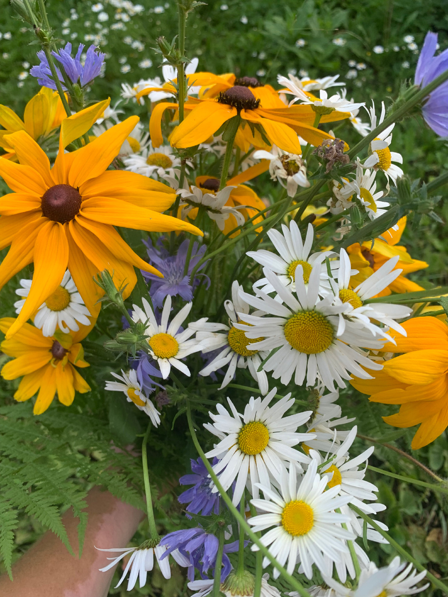 Фото автора канала