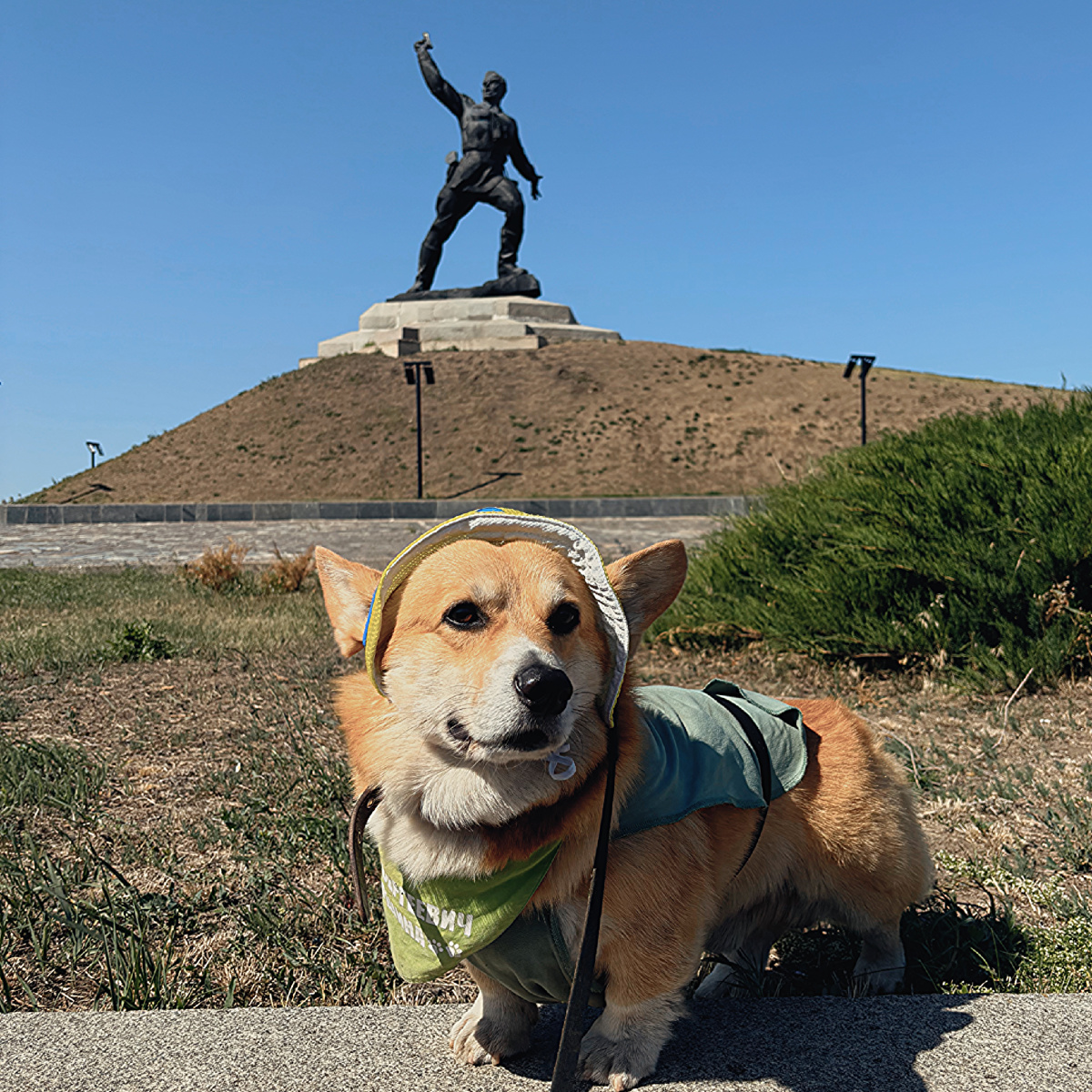 Корги Бильбо у монумента «Комбат» в ЛНР