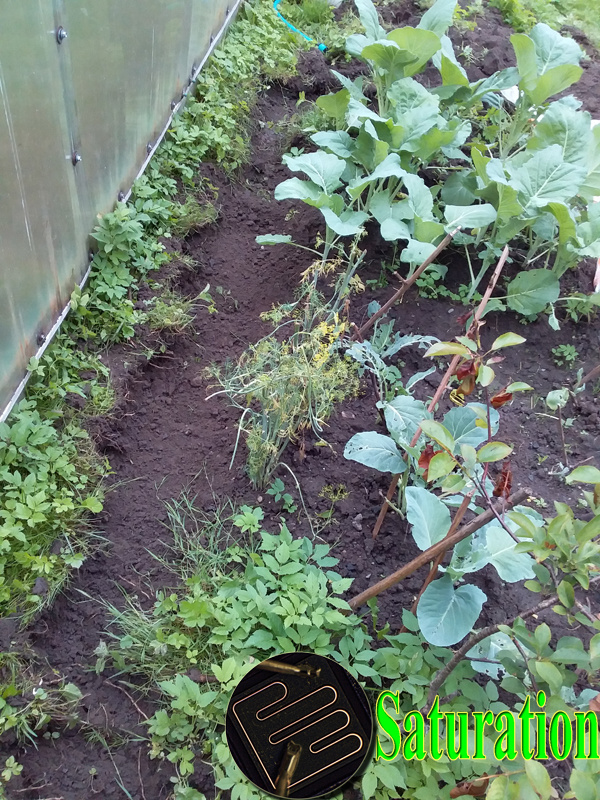 Траншея под песок