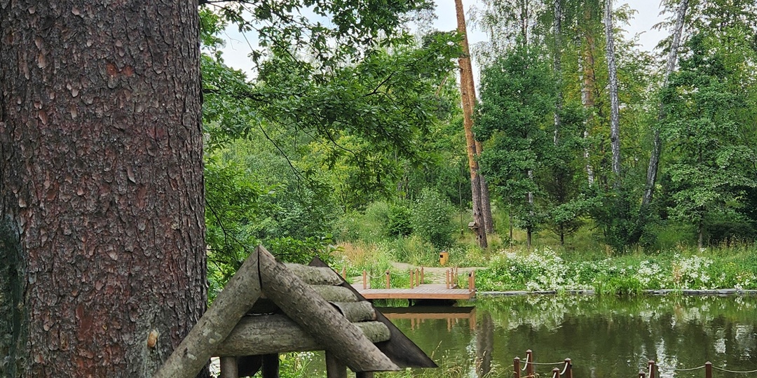 У воды и природы: подмосковный парк «Ближняя дача»