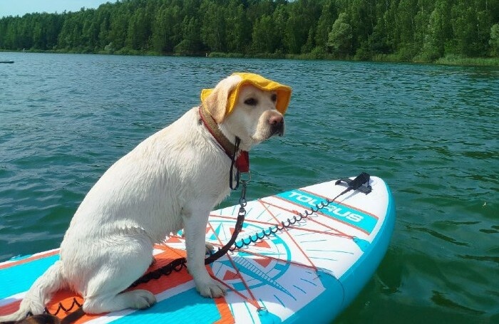    предоставил слушатель Бизнес ФМ