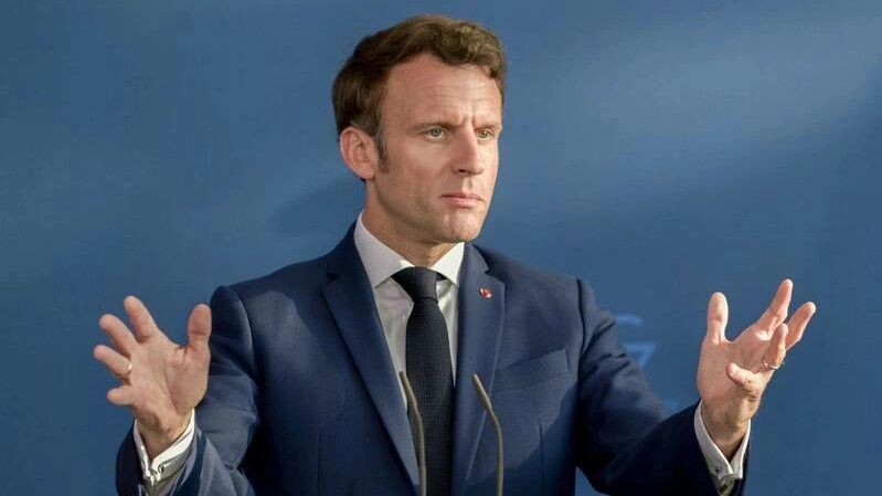    Фото: photocosmos1 / Shutterstock / Fotodom