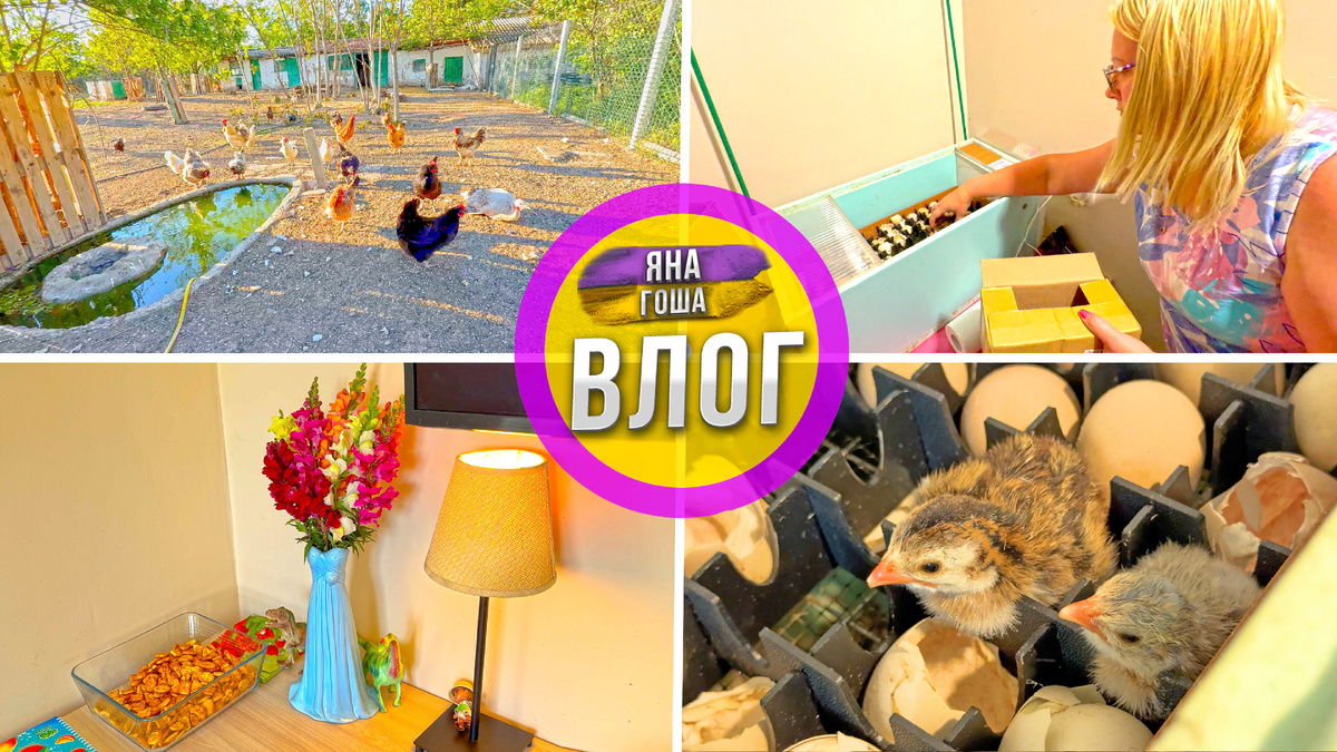 Новое видео в ВК.Видео