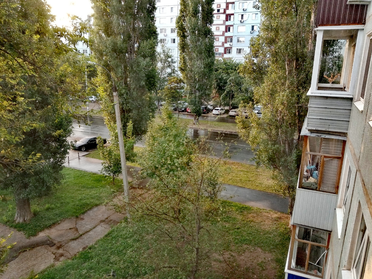 Фото автора. 13.07.2025 года на часах 06-00.