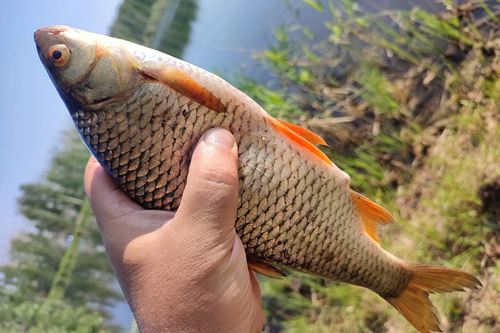 © Фото Сергея Бычкова.📷

