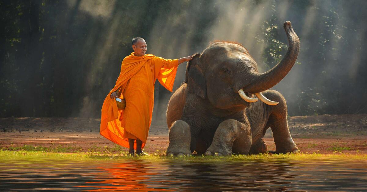 Чем человек отличается от животного?На школьных уроках по биологии нам часто доводилось слышать, что человек является царём среди зверей. Это мнение активно поддерживают и многие современные учёные. Лишь бегло оглянув результаты «правления», мы легко убедимся, каких успехов достиг человек за время своего царствования. Огромный вред, нанесённый окружающей природе, сотни истреблённых видов животных и ещё столько же на грани вымирания… Сложно представить, что какой-либо правитель способен намеренно изводить своё царство, поэтому логичным становится вопрос, а чем человек отличается от животного, и так ли мы отличаемся от наших меньших братьев? И если да, то чем?Вопросы различия занимают умы человечества не первый год, данная тема интересует не только учёных и философов, но и обычных людей. Для того чтобы понять, каковы отличия человека от животного, необходимо понять, что делает нас похожими.