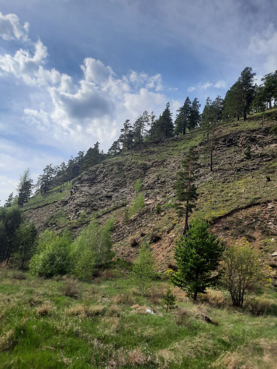 Фото автора.