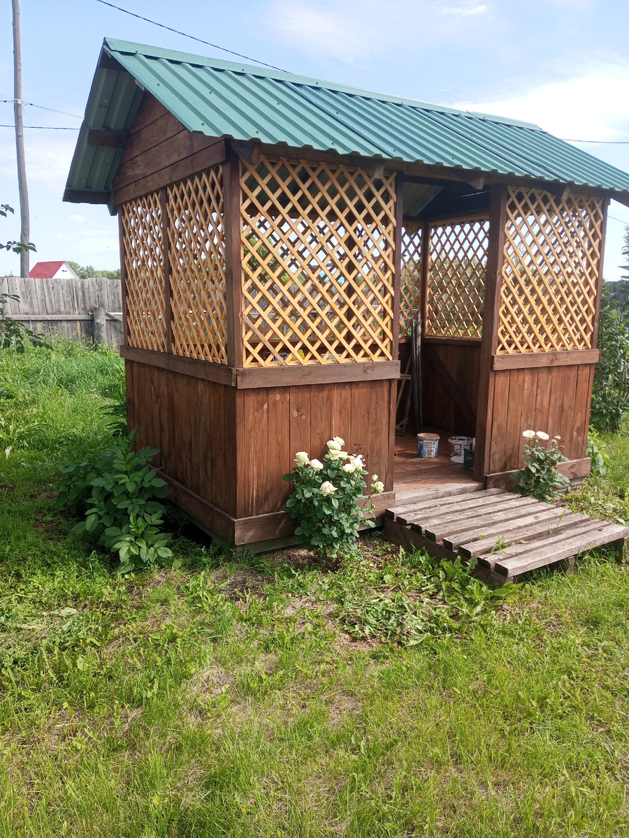 Розы в этом году на загляденье 