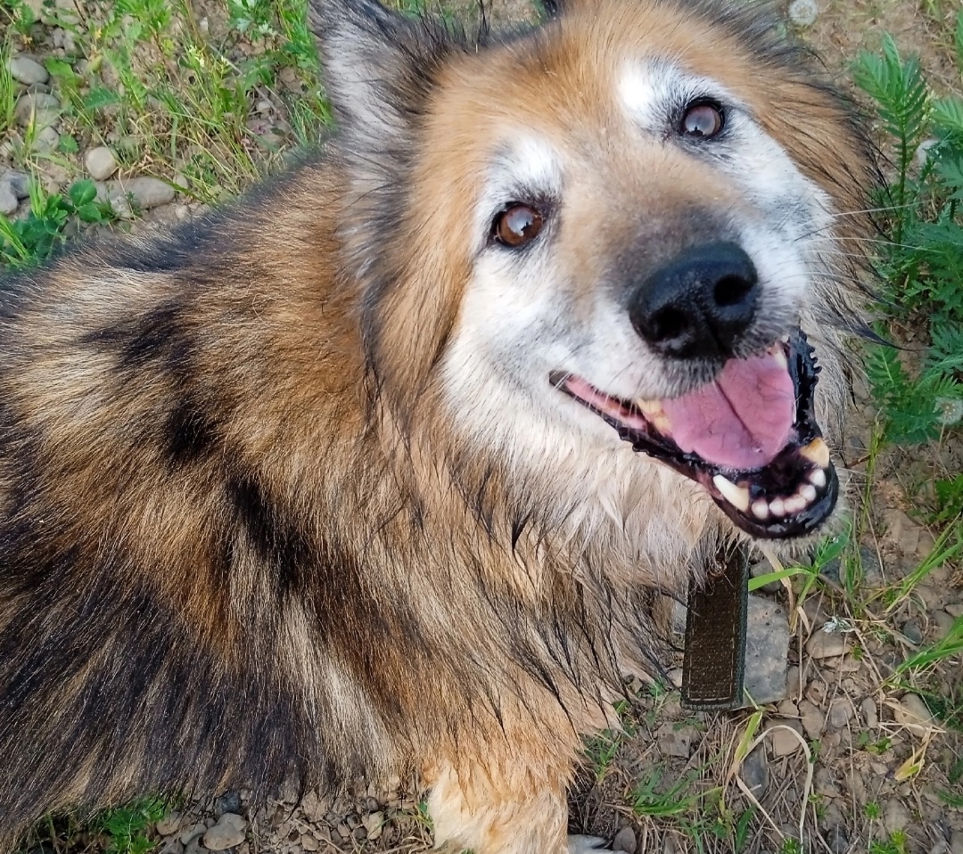 Плюшевая девочка