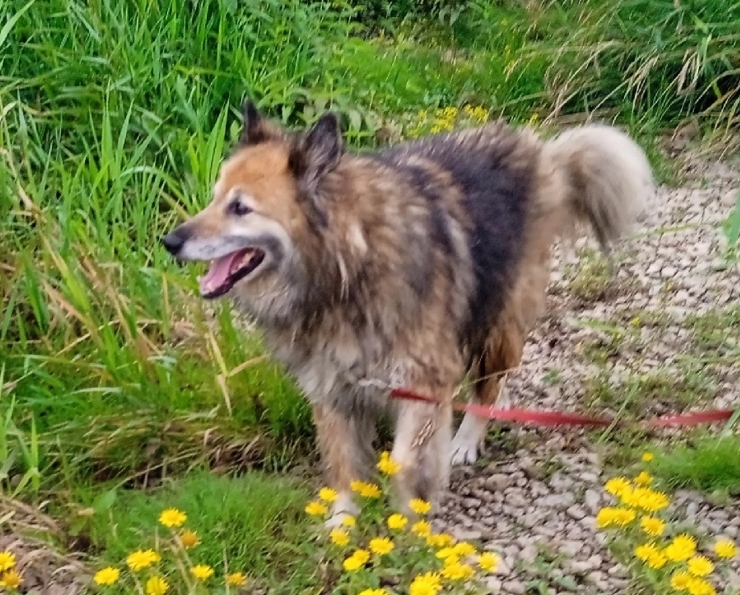 Хорошо весной, красиво