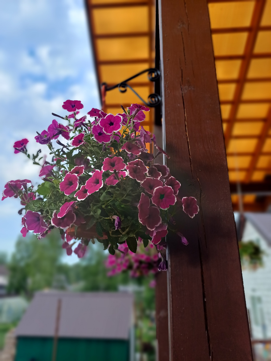 Фото сразу после покупки