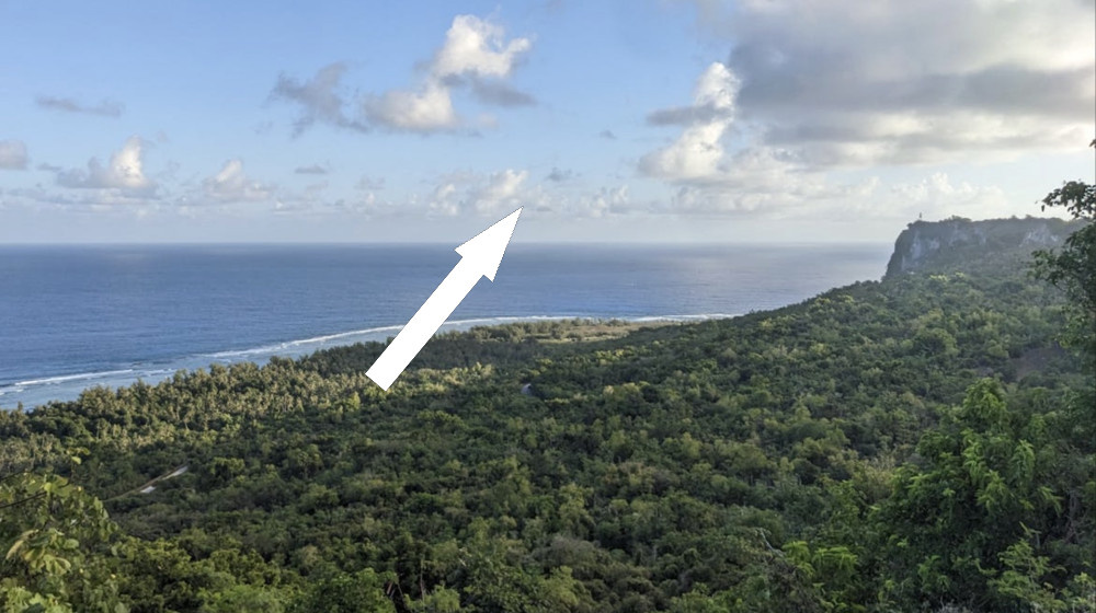    Древние мореплаватели Провезли РИС в Тихий океан 3500 лет назад Обнаружение в пещере на Гуам переворачивает представления о древних путешествиях