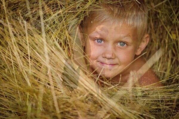 Фтография использована в иллюстрационных целях и взята из открытого доступа яндекс-фото.