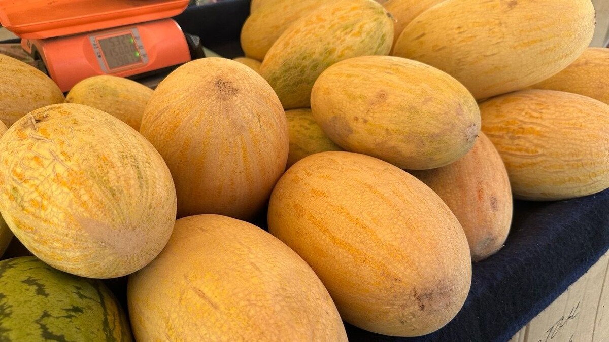     Источник: vostokmedia.com