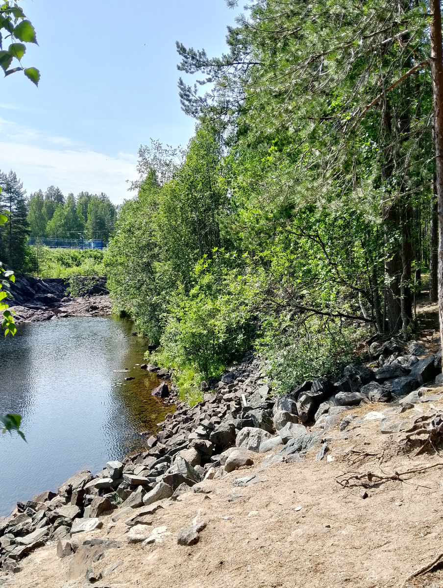 В заповеднике Гирвас, фото автора