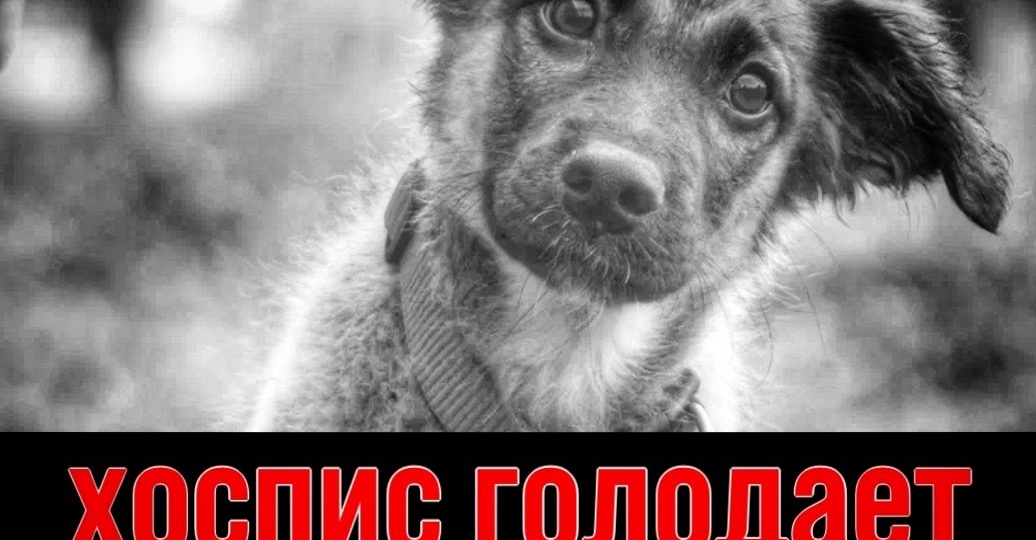 Воскресенье, день ГОЛОДНЫЙ! Тяжело, НЕВЫНОСИМО ТЯЖЕЛО!