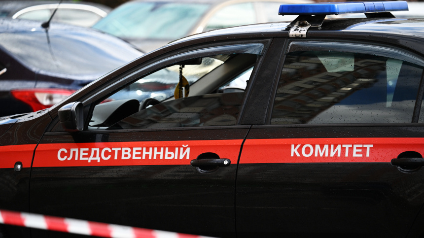    Фото: © РИА Новости/Максим Блинов; 5-tv.ru