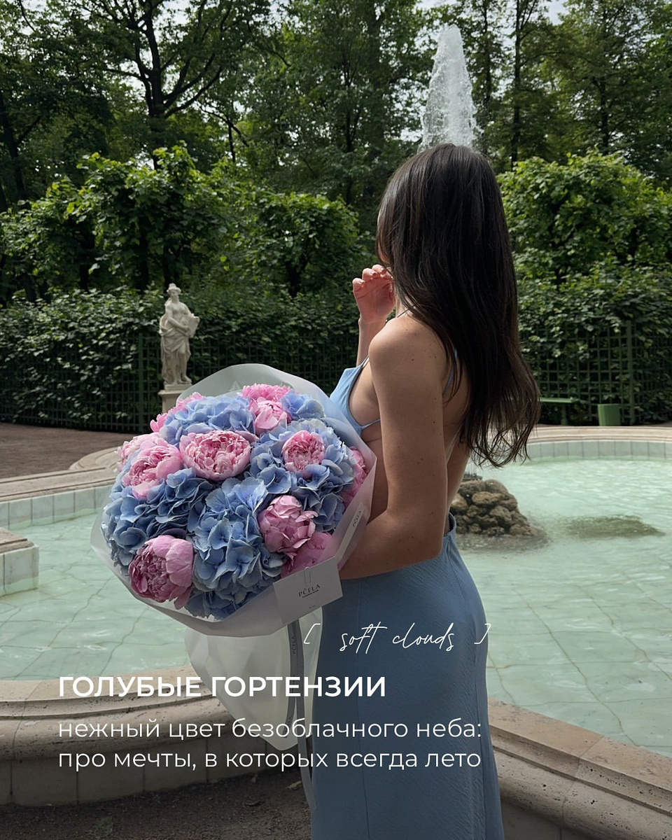 Цвета Цветов: Палитра Водолея. Фото: PČELA | pcela-flower.ru