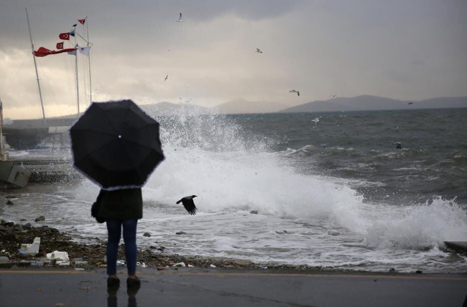    Shutterstock/FOTODOM