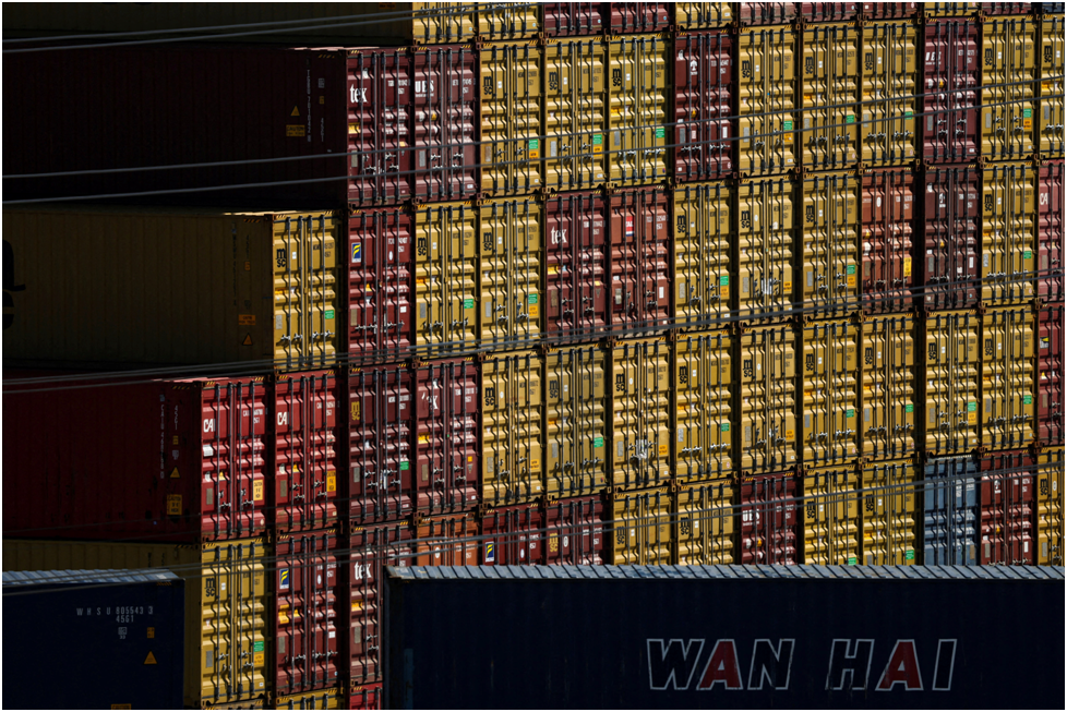 Контейнеры в порту Лос-Анджелеса, Сан-Педро, Калифорния, США, 8 июля 2025 года. REUTERS/Daniel Cole/File Photo