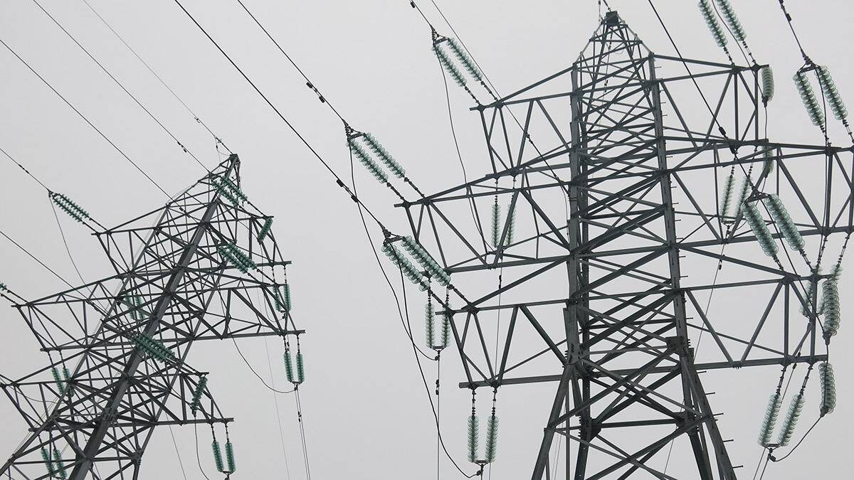    Фото: shutterstock