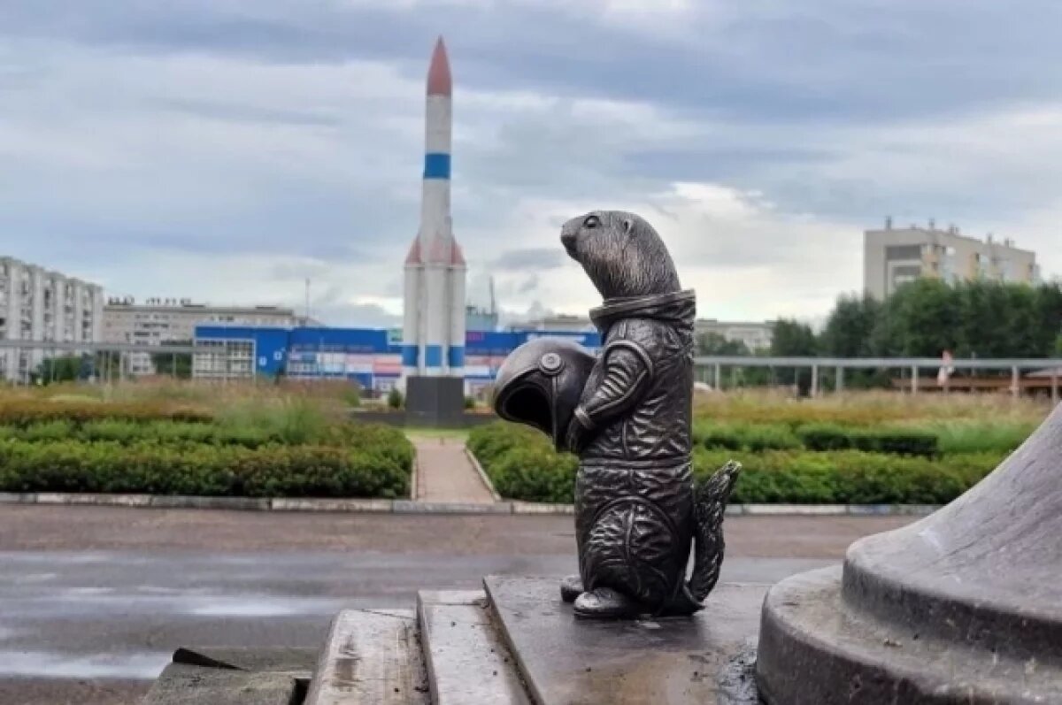    Космонавт Кирилл Песков придумал имя для суслика в скафандре в Красноярске