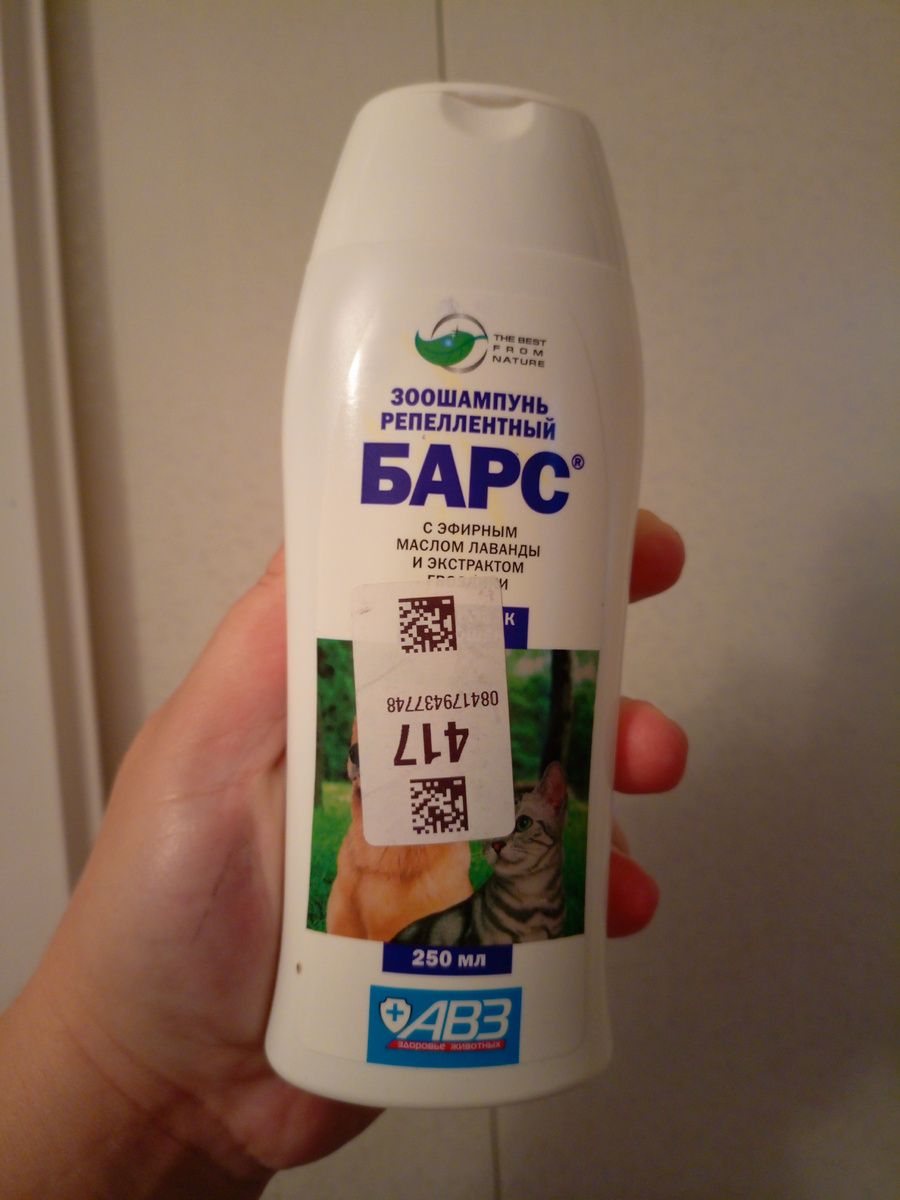 Фото сделано автором канала