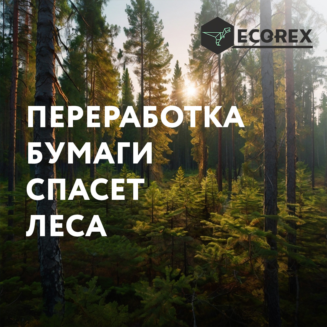 Изображение создано при помощи AI