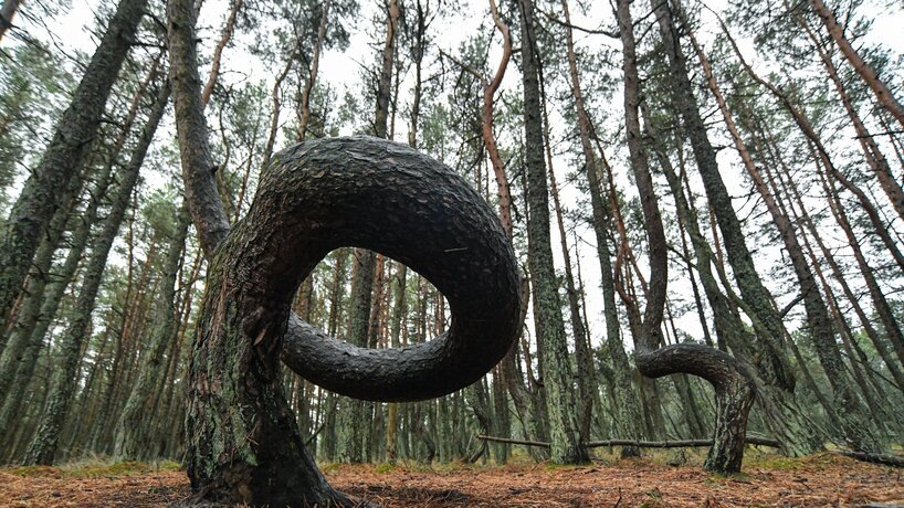    Фото: Москва 24/Антон Великжанин