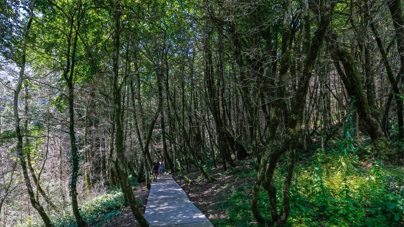    Фото: ТАСС/Александр Демьянчук