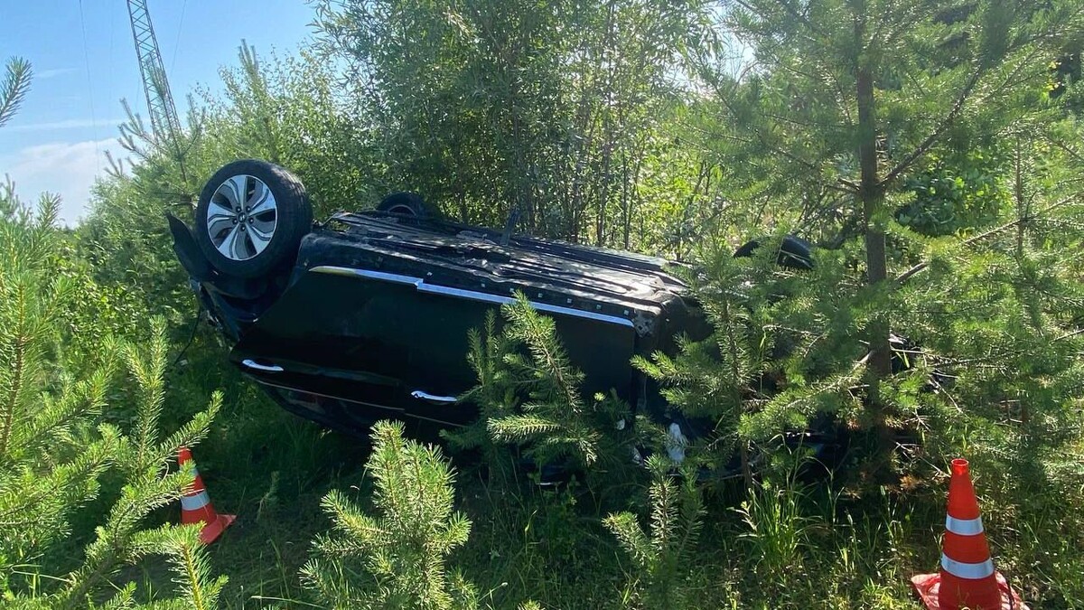    Фото: t.me/gibdd89