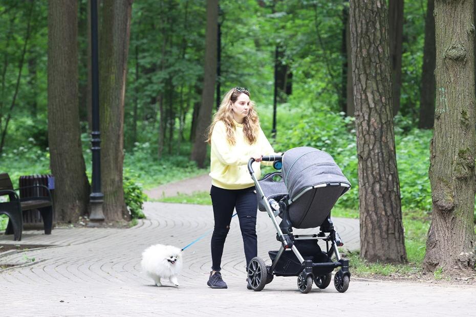    Артём Соболев/NEWS.ru