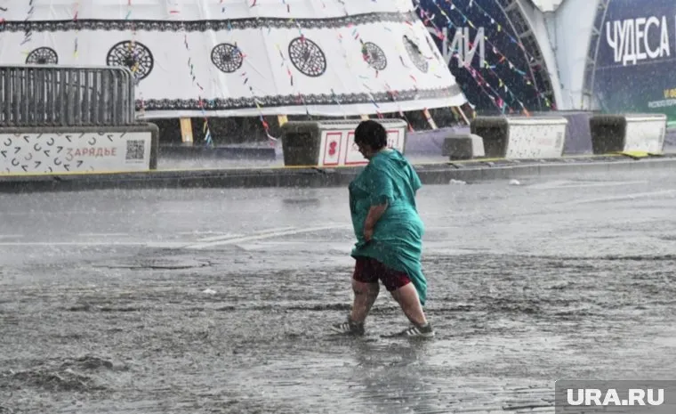 На Москву и Подмосковье обрушилась непогода
Фото: Наталья Селиверстова / РИА Новости