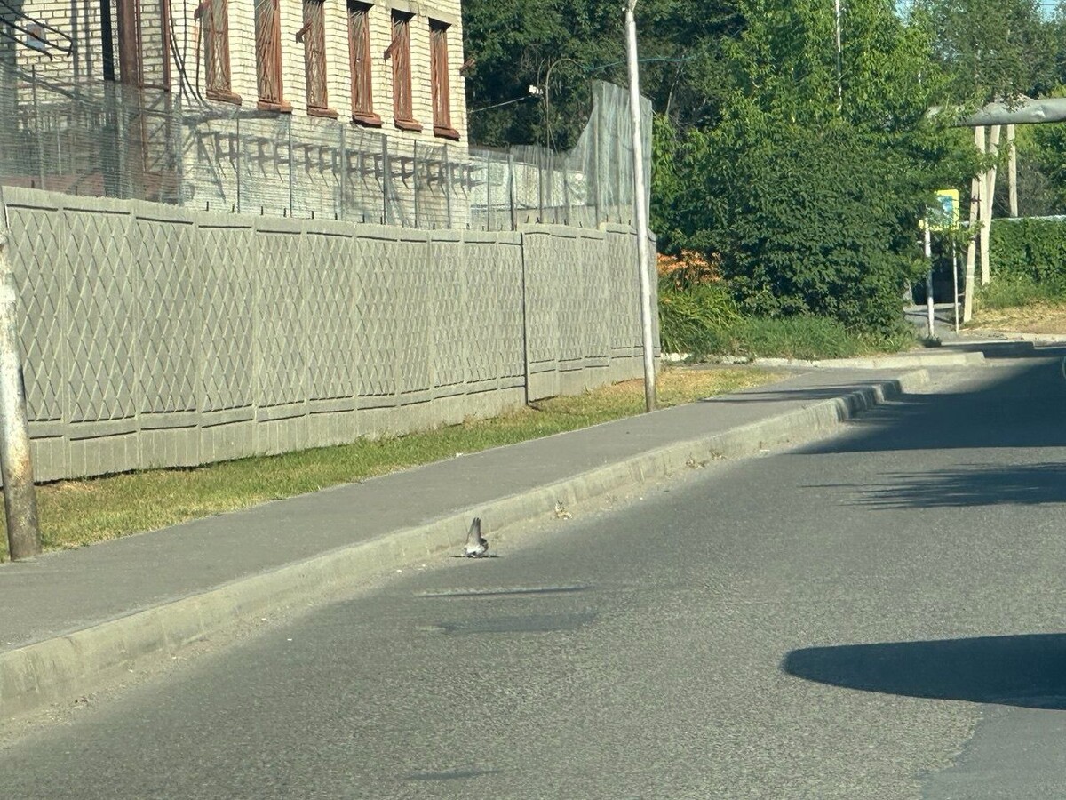     Источник: vostokmedia.com