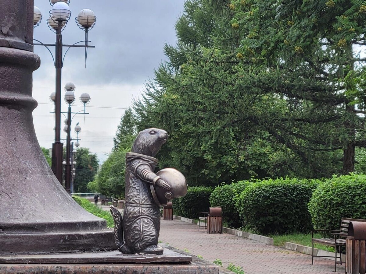     Источник: t.me/adm_krasnoyarsk