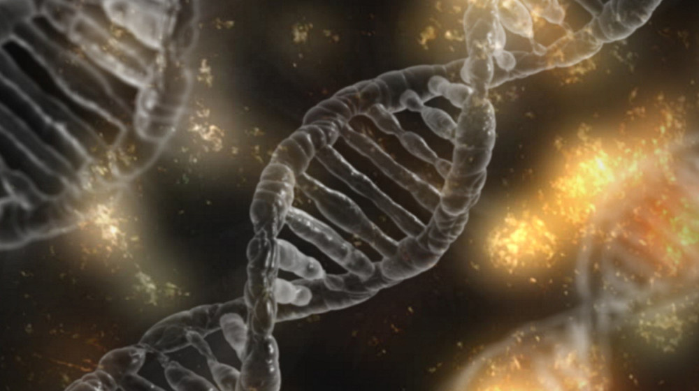    Тайные ветви жизни организмы которые эволюция забыла объяснить