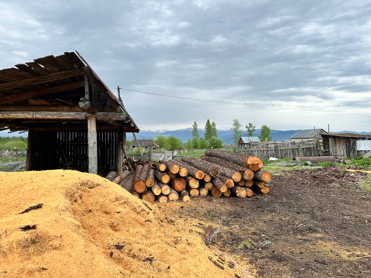 Пилорама обманщика №1 в Кастахте - обходите мимо