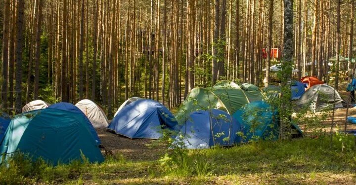 Детский палаточный лагерь. 