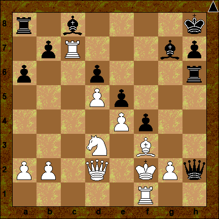 Гуревич-Полгар Ж 2006